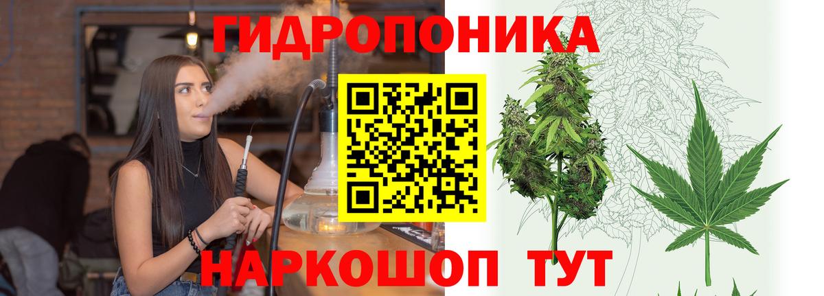 Каннабис планчик  Вход с VPN  Канабис LSD WEED  Марихуана тримм  Нягань 